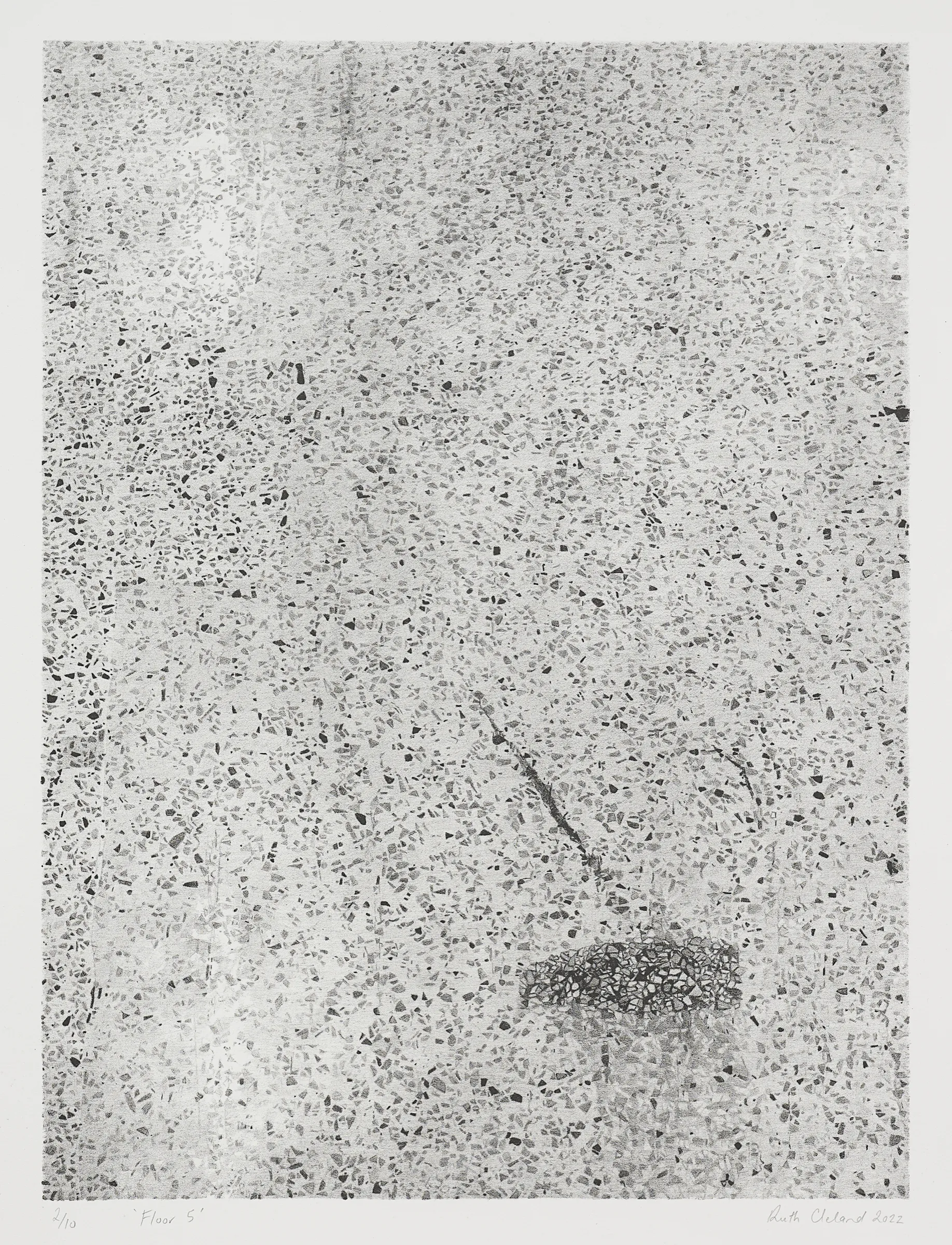  Floor 5, 2022, lithograph on paper, 43.8 x 32.8cm, Auckland Print Studio 
