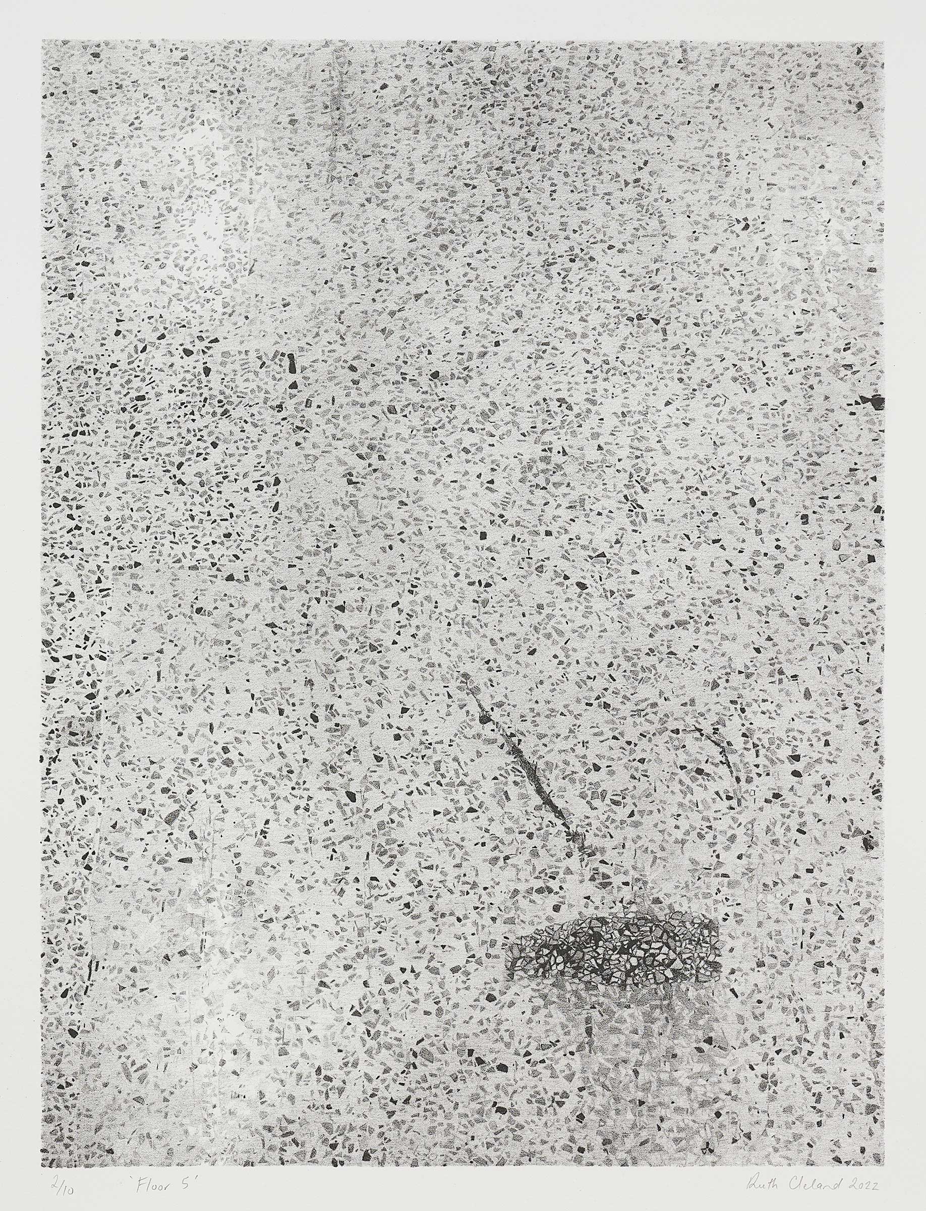  Floor 5, 2022, lithograph on paper, 43.8 x 32.8cm, Auckland Print Studio 